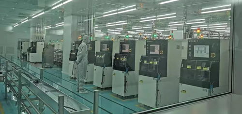 千名行业精英汇聚海沧，共筑国际影响力集成电路设计新高地